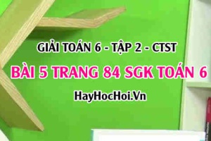 Giải bài 5 trang 84 Toán 6 Tập 2 SGK Chân trời sáng tạo